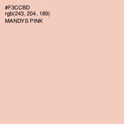 #F3CCBD - Mandys Pink Color Image